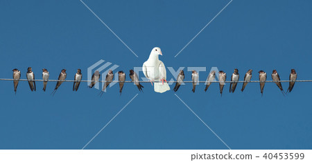 Individuality and difference or leadership concept 40453599