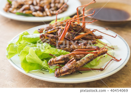 Close up of Fried insects in dish with sauce. Close up of Fried insects in dish with sauce. 40454069