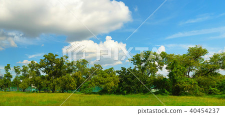 Green park panorama under blue sky Green park panorama under blue sky 40454237