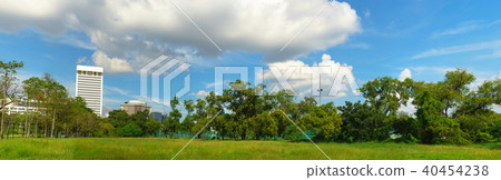 Green park panorama under blue sky Green park panorama under blue sky 40454238