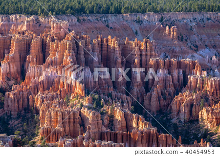 Bryce Canyon National Park, Utah USA Bryce Canyon National Park, Utah USA 40454953
