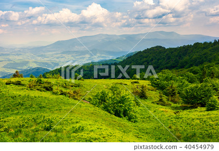grassy hillside of Carpathian mountains 40454979