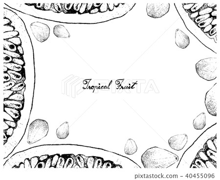 Hand Drawn Frame of Banana Passionfruit Cempedak Hand Drawn Frame of Banana Passionfruit Cempedak 40455096