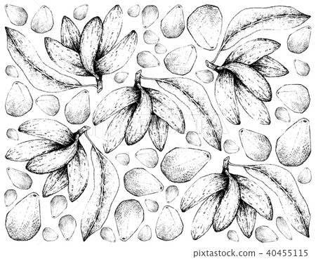 Banana de Macaco and Cempedak Fruits 40455115