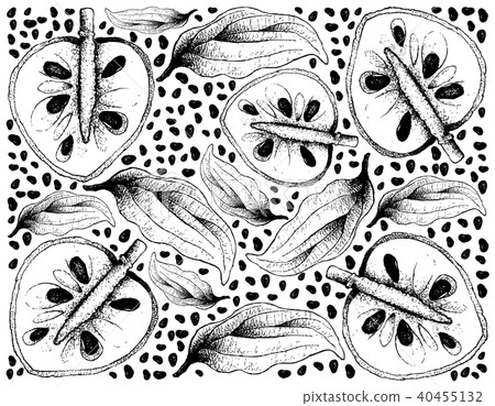 Hand Drawn Background of Ripe Cherimoya Fruits Hand Drawn Background of Ripe Cherimoya Fruits 40455132