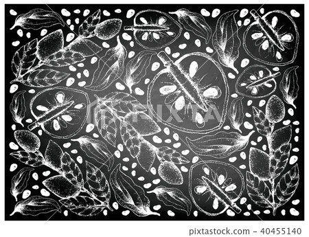 Cherimoya and Wampee Fruits on Chalkboard 40455140