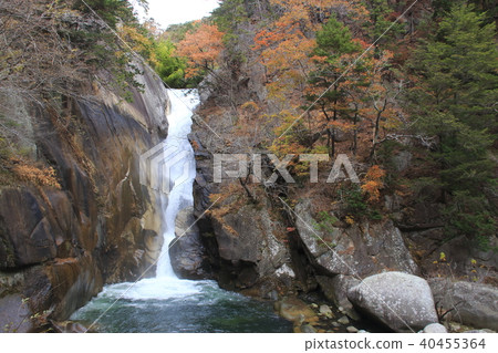 秋季Sensui瀑布和彩虹（Oyodo Shosenkyo） 40455364