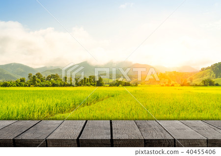 Empty wooden photo frame on paddy farm background Empty wooden photo frame on paddy farm background 40455406