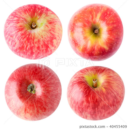 Isolated apples collection Isolated apples collection 40455409