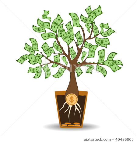 Money tree growing from a coin root.  40456003