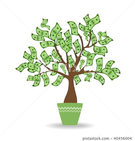 Money tree in green ceramic pot. Money tree in green ceramic pot. 40456004