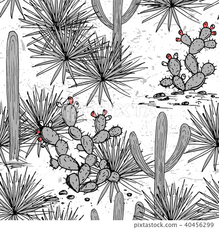 Latin American background. Mexican landscape  40456299