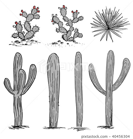 Cacti group. Prickly pear cactus 40456304