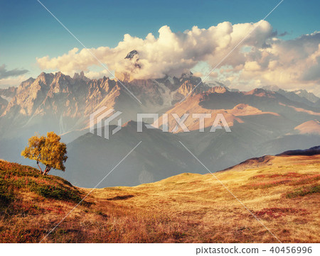 Thick fog on the mountain pass Goulet. Georgia, Svaneti. Europe. 40456996