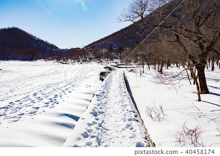 Awakening of winter Awakening of winter 40458174