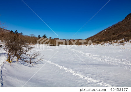 Awakening of winter Awakening of winter 40458177