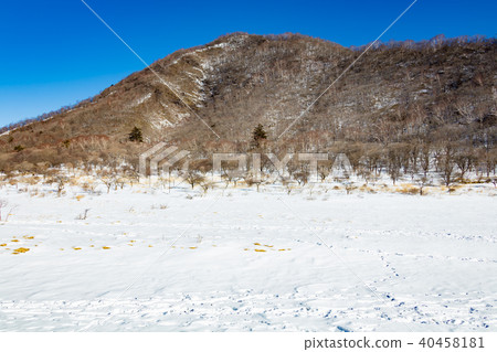 Awakening of winter Awakening of winter 40458181
