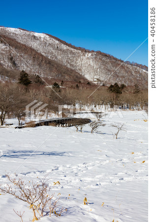 Awakening of winter Awakening of winter 40458186