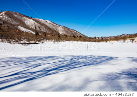 Awakening of winter Awakening of winter 40458187