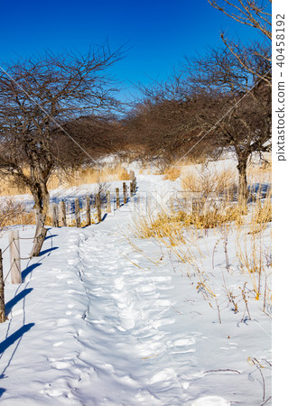 Awakening of winter Awakening of winter 40458192