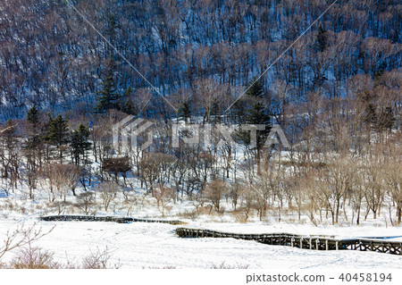 Awakening of winter Awakening of winter 40458194