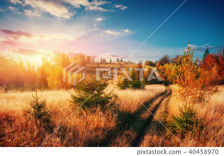 Thick fog on the mountain pass Goulet. Georgia, Svaneti. Europe. Thick fog on the mountain pass Goulet. Georgia, Svaneti. Europe. 40458970