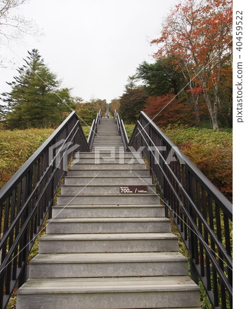 天堂走廊0 40459522