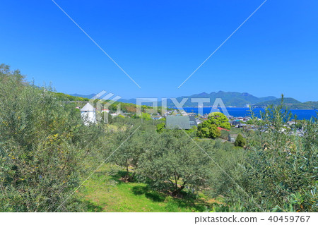 小豆島橄欖園 小豆島橄欖園 40459767