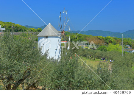 小豆島橄欖園 40459769