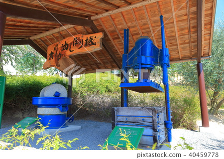 小豆島橄欖園的橄欖油擠壓機 40459778