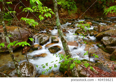 Honya River Valley Honya River Valley 40459821