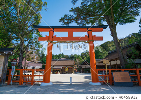 在京都Kamigamo神社的鳥居門 40459912