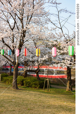 Iwatsuki Castle Ruins Park 40460899