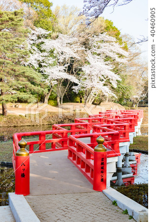 Iwatsuki Castle Ruins Park 40460905