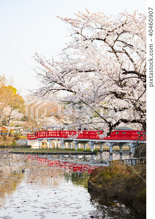 岩城城遺址公園 岩城城遺址公園 40460907