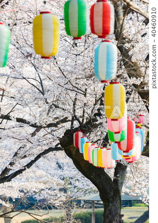 岩城城遺址公園 40460910