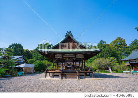 京都梅宮大社 40460993