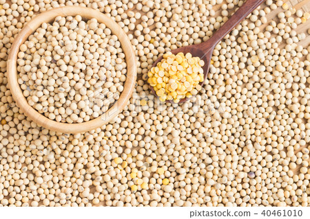 Soy milk and soy beans on wood background. Soy milk and soy beans on wood background. 40461010