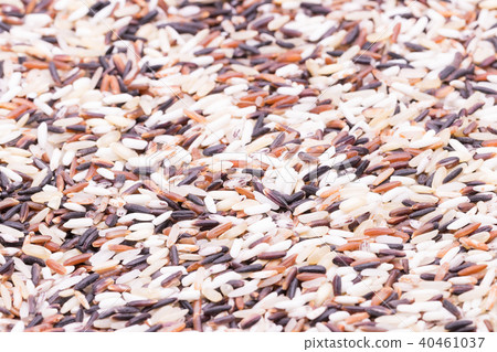 Organic rice,  Rice texture for background 40461037
