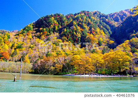 Kamikochi-autumn leaves of Taisho pond Kamikochi-autumn leaves of Taisho pond 40461076