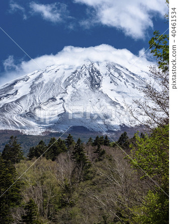 來自富士斯巴魯線第2站的富士山 來自富士斯巴魯線第2站的富士山 40461534