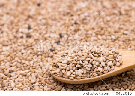 white sesame in wooden spoon on sesame background. 40462019