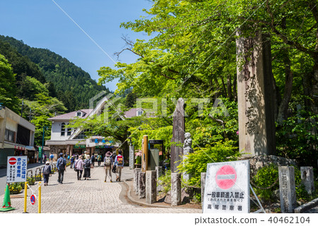 新鮮的綠色Mt. Takao Kiyotaki站Momiji廣場 新鮮的綠色Mt. Takao Kiyotaki站Momiji廣場 40462104