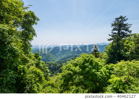 從新鮮的綠色Mt. Takao的看法 從新鮮的綠色Mt. Takao的看法 40462127