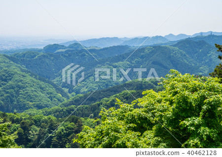 A view from the fresh green Mt. Takao A view from the fresh green Mt. Takao 40462128