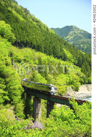 高山主線新鮮綠 40463002