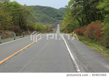 榛名山的直道 榛名山的直道 40463460