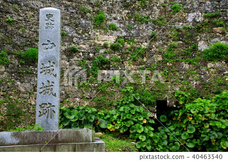 Nakagusu城堡廢墟 40463540