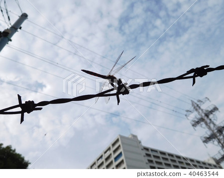 裁剪標記 40463544