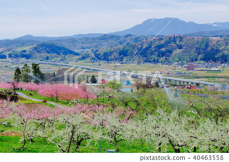 Beautiful scenery of Shinshu 201805 40463558